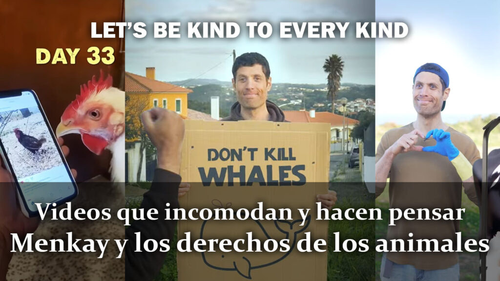 Videos incómodos que hacen pensar: Menkay y los derechos de los ...