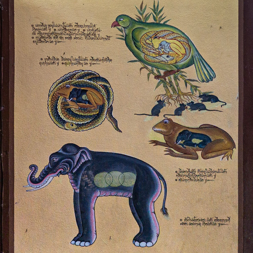 El surgimiento dependiente.