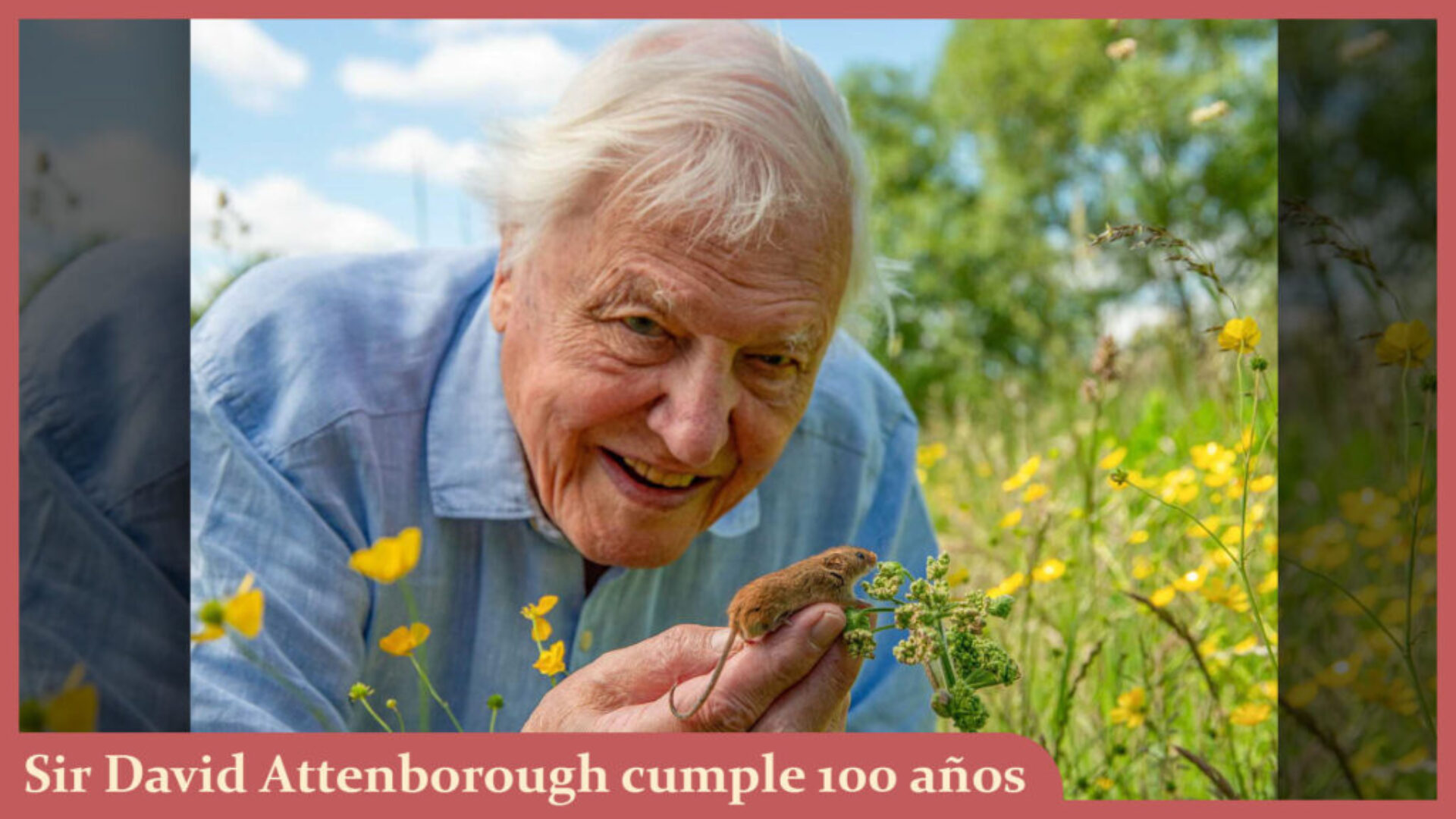 attenborought1