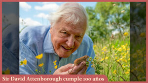 attenborought1